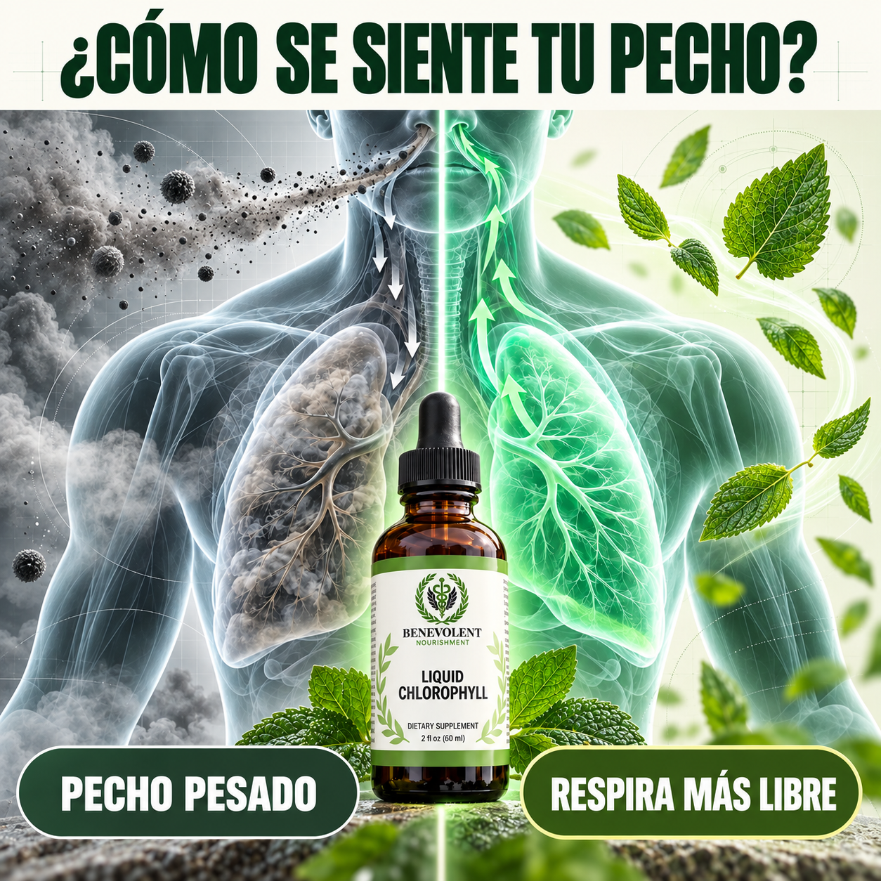 Clorofila en gotas - Pulmonar
