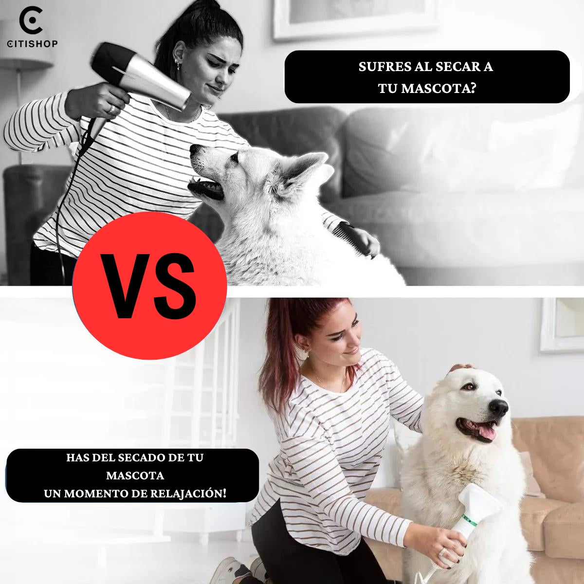 PetGroom Pro: Secador y Cepillo 2 en 1 para Mascotas